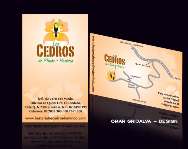 cedros card portfolio